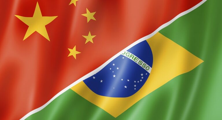 Limites ao Crescimento: o Caso do Brasil e China.